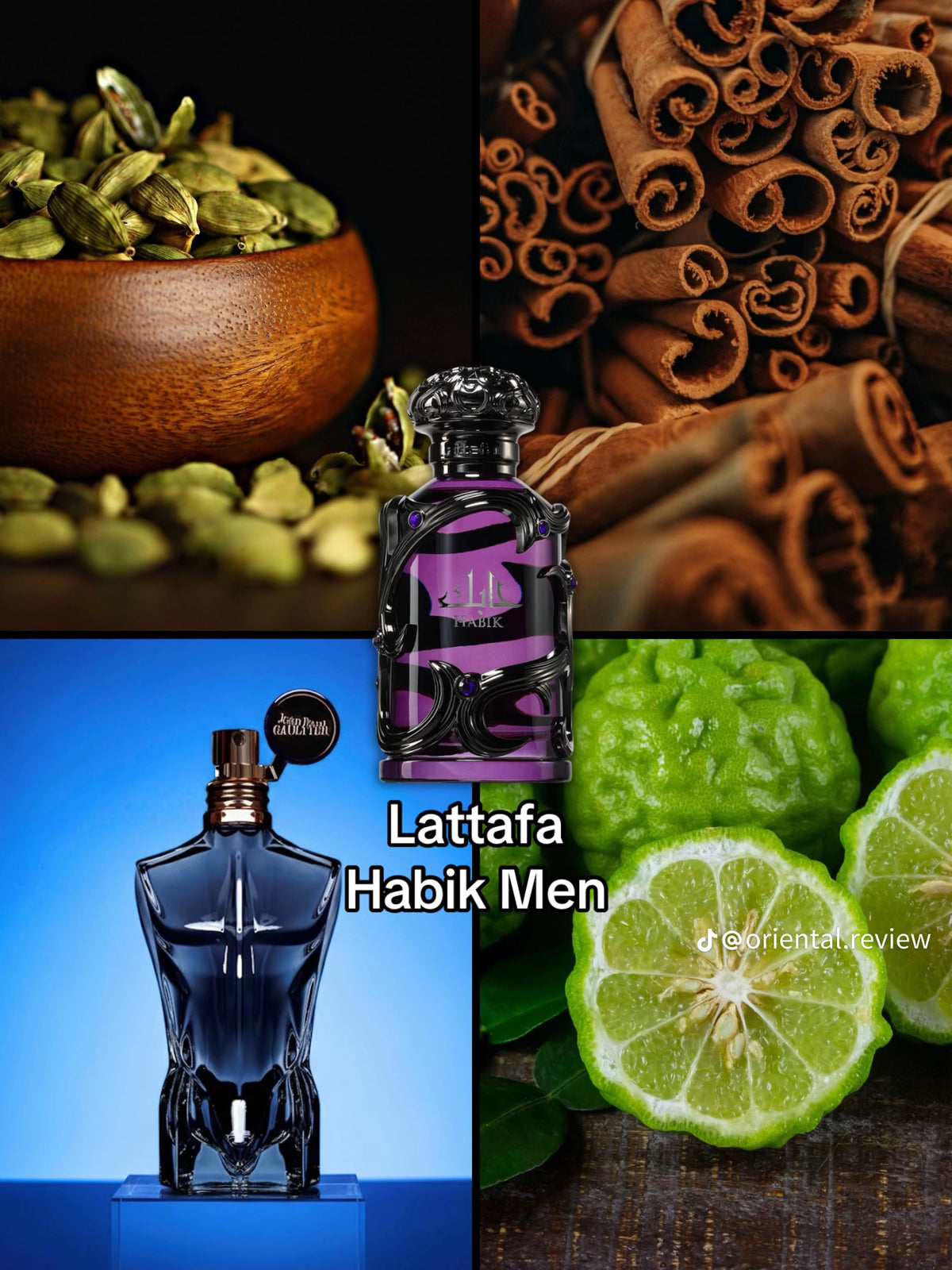 Lattafa Habik Eau de Parfum 100 mL – For Men