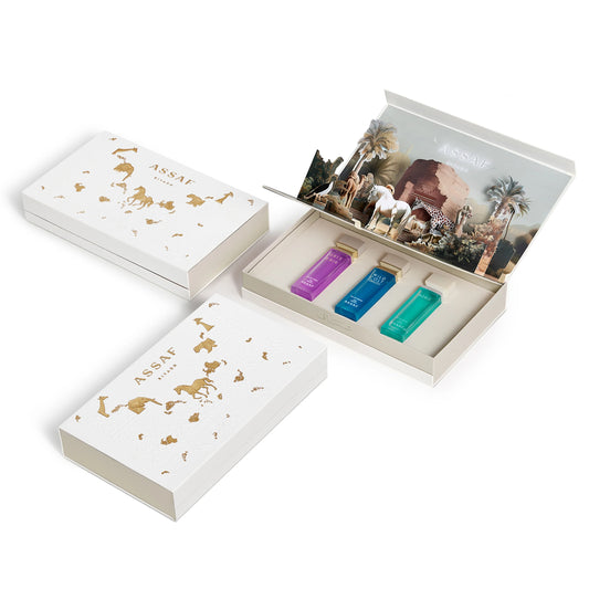 Assaf Foundation Day Collection Eau de Parfum 100 ml (Unisex)
