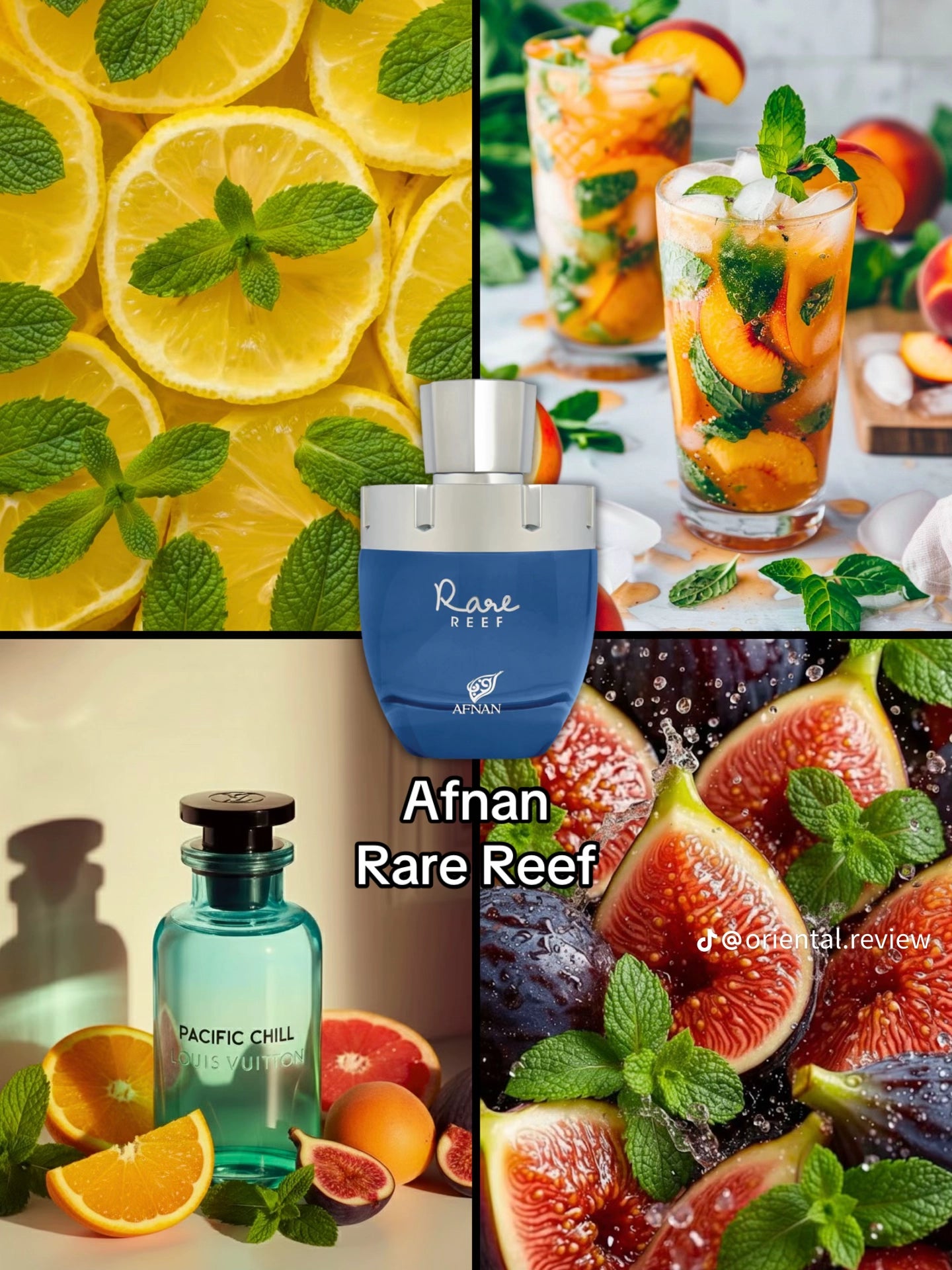 Afnan Rare Reef Eau de Parfum 100 mL – Unisex